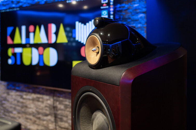 Bowers-Wilkins-801-Speakers-Abbey-Road