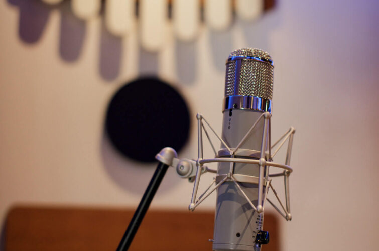 Chandler-REDD-tube-microphone