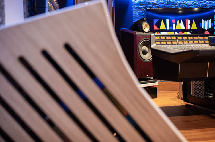 dettagli arredi studio registraizione